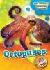 Cover image of Octopuses