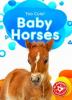 Cover image of Baby horses