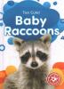 Cover image of Baby raccoons