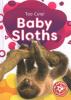 Cover image of Baby sloths