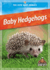 Cover image of Baby hedgehogs