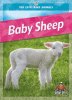 Cover image of Baby sheep