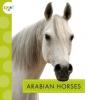 Cover image of Arabian horses