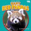 Cover image of Baby red pandas