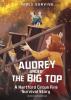 Cover image of Audrey under the big top