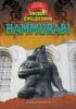 Cover image of Hammurabi