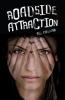 Cover image of Roadside attraction