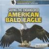 Cover image of Saving the endangered American bald eagle