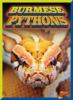 Cover image of Burmese pythons