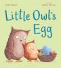 Cover image of Little Owl's egg