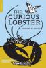 Cover image of The curious lobster