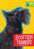 Cover image of Scottish terriers