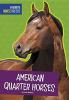Cover image of American quarter horses