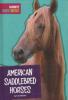 Cover image of American saddlebred horses