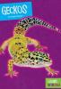 Cover image of Geckos