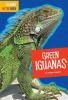 Cover image of Green iguanas