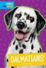 Cover image of Dalmatians