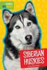 Cover image of Siberian huskies