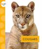 Cover image of Cougars