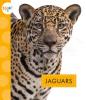 Cover image of Jaguars