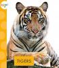 Cover image of Tigers