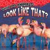 Cover image of Why do animals look like that?