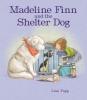 Cover image of Madeline Finn and the shelter dog