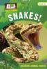 Cover image of Snakes!
