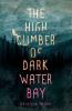 Cover image of The high climber of Dark Water Bay