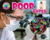Cover image of Poop cures