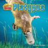 Cover image of Platypus