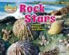 Cover image of Rock stars