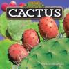Cover image of Cactus