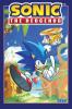 Cover image of Sonic the Hedgehog