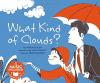 Cover image of What kind of clouds?