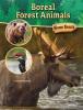 Cover image of Boreal forest animals