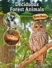 Cover image of Deciduous forest animals