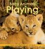 Cover image of Baby animals playing