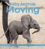 Cover image of Baby animals moving