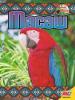 Cover image of Macaw