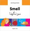 Cover image of Smell =