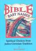 Cover image of Bible baby names