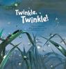 Cover image of Twinkle twinkle