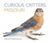 Cover image of Curious critters