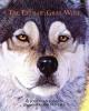 Cover image of The eyes of Gray Wolf