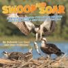 Cover image of Swoop and soar