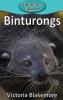 Cover image of Binturongs