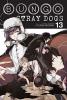 Cover image of Bungo stray dogs