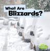 Cover image of What are blizzards?