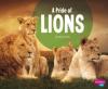 Cover image of A pride of lions